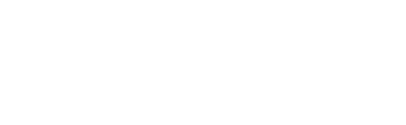 Z CAM