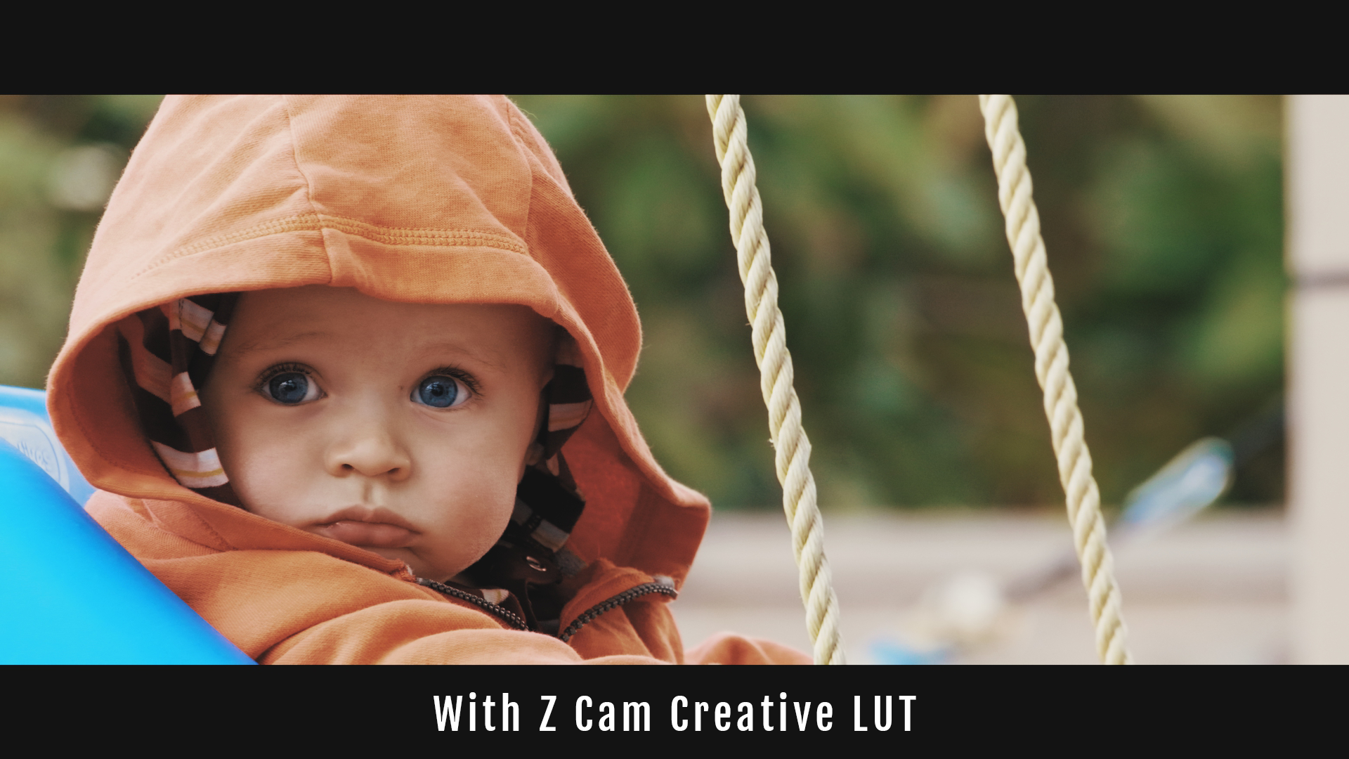 Z Cam Creative LUT