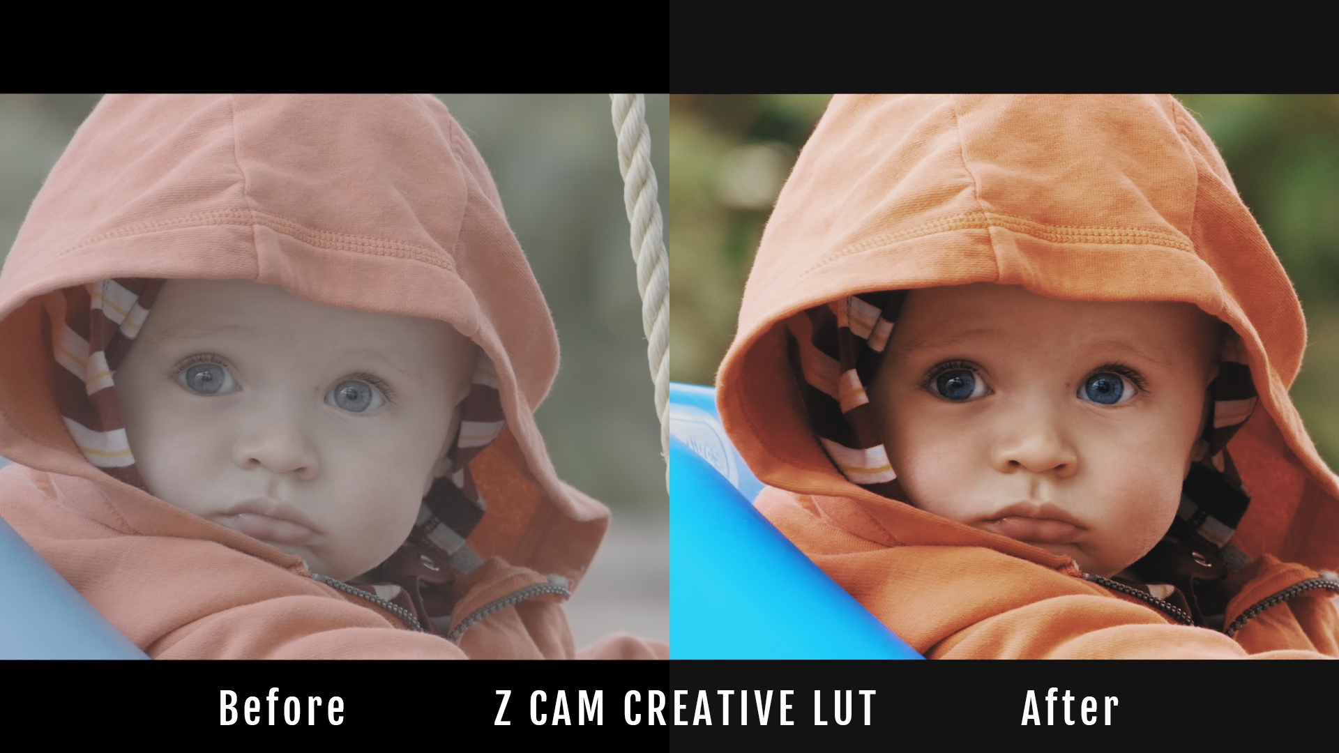 Z Cam Creative LUT