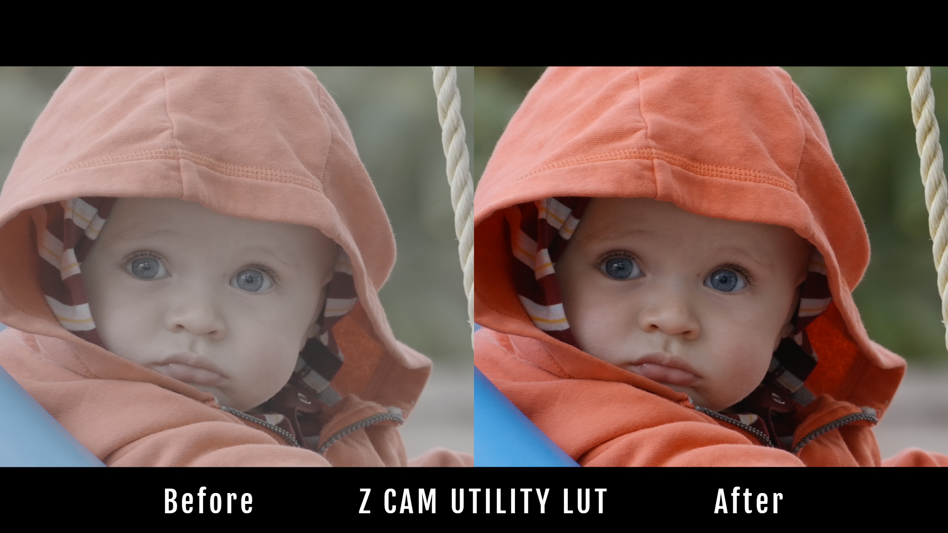 Z-Cam Utility LUT