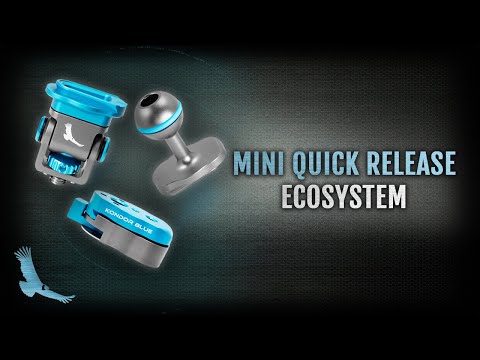 Mini Lock QR Swivel Tilt Monitor Mount with ARRI Pin (Pan/Tilt)