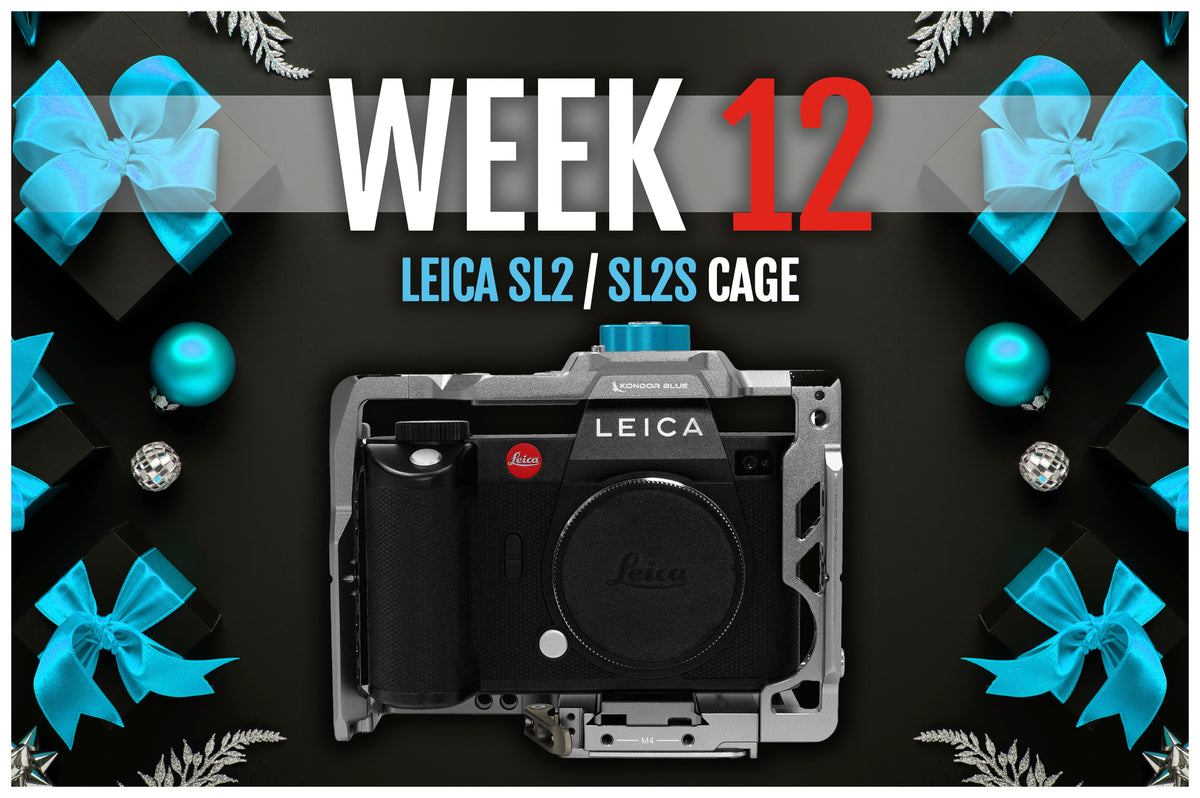 Week 12
