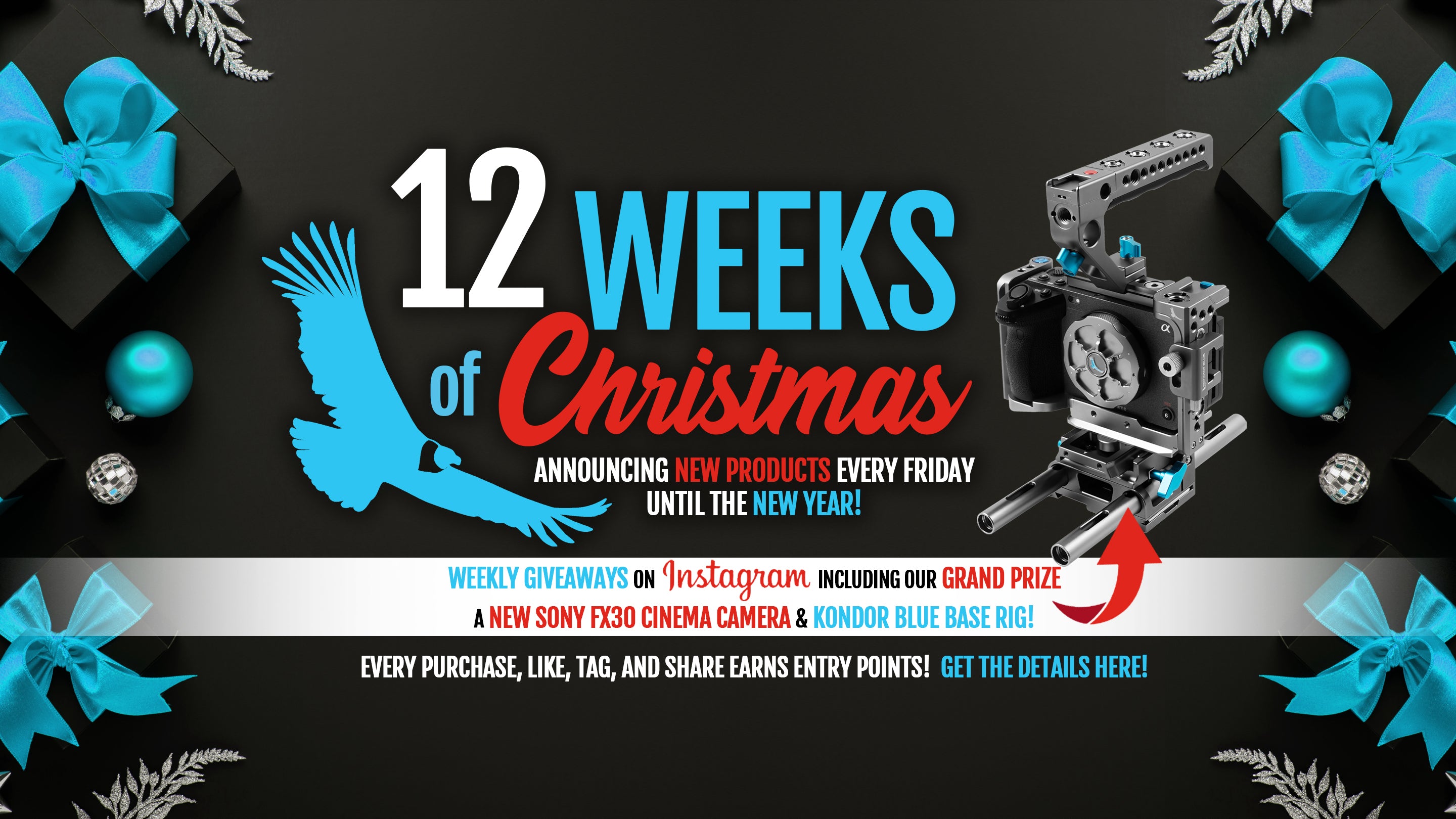 12 Weeks of Christmas!
