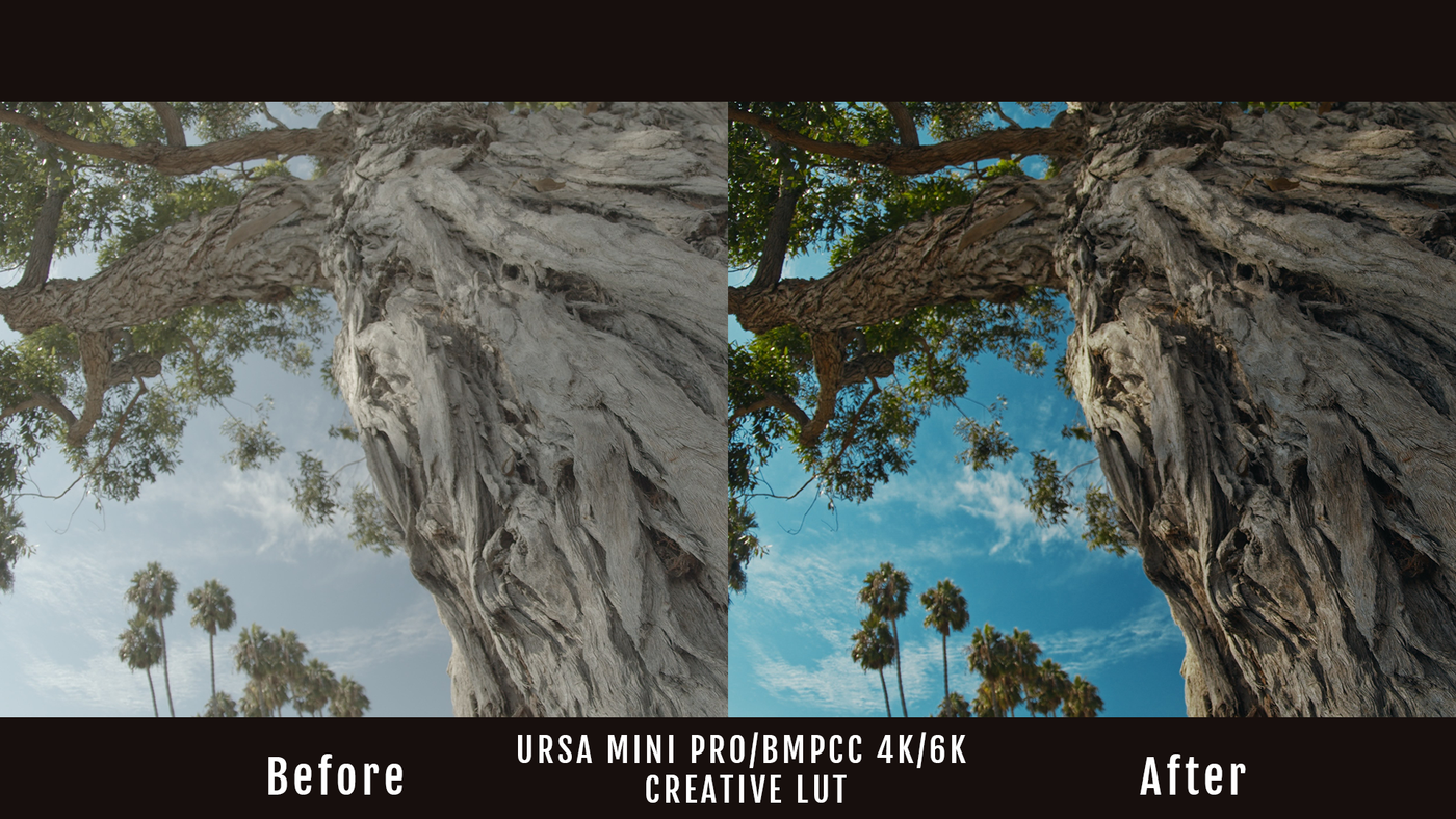 URSA Mini Pro | BMPCC 4K/6K Creative LUT