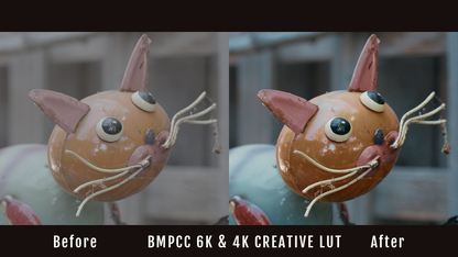 BMPCC 4K & 6K Creative LUT