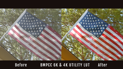 BMPCC 4K & 6K Utility LUT