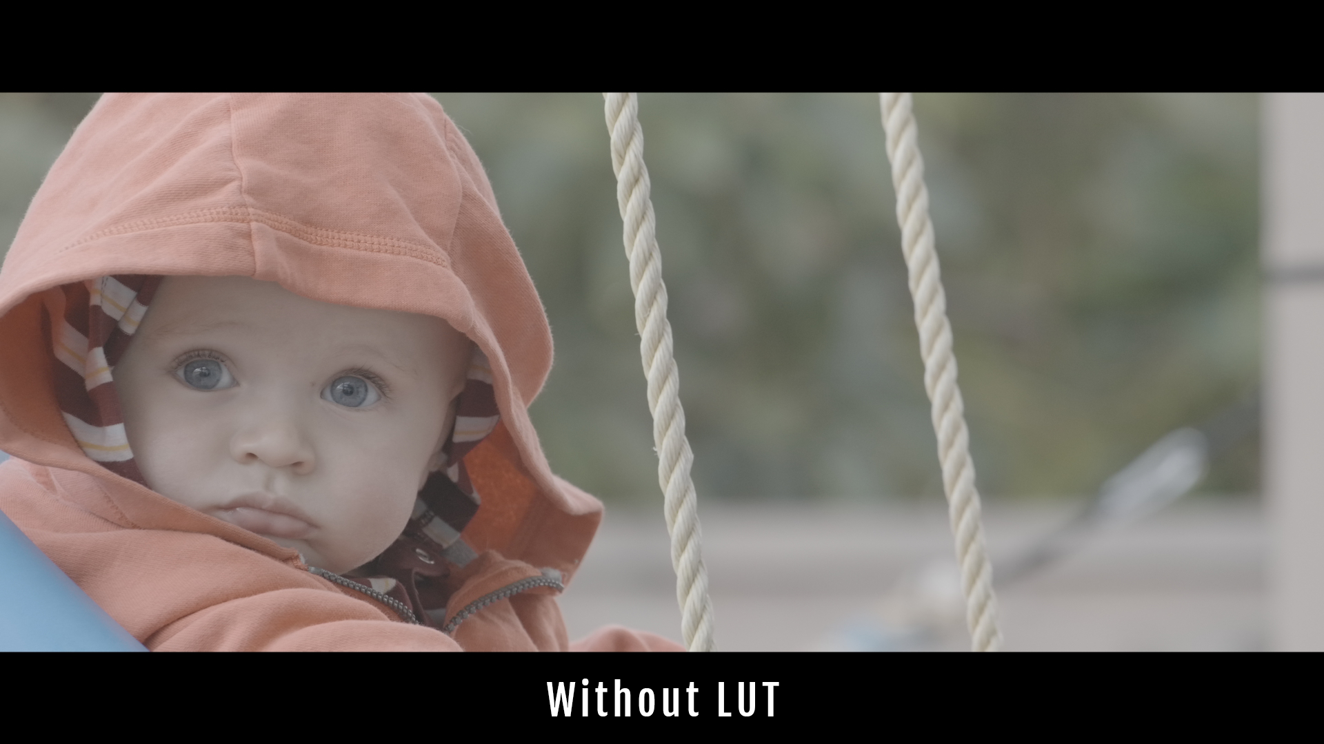 Z-Cam Utility LUT