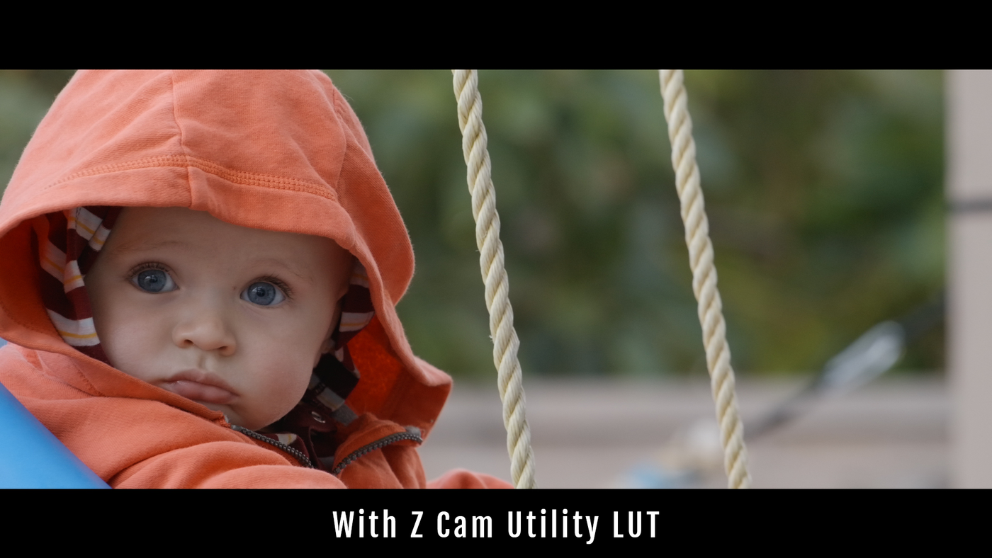 Z-Cam Utility LUT