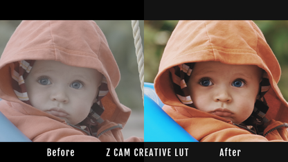 Z Cam Creative LUT